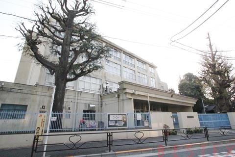 関口台町小学校