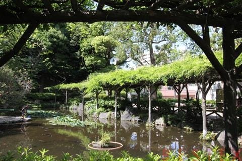 須藤公園
