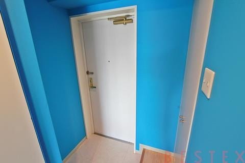 青い玄関