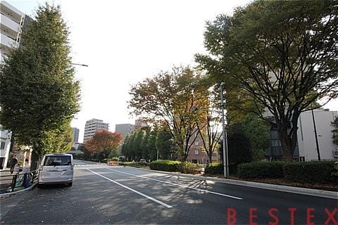 通り