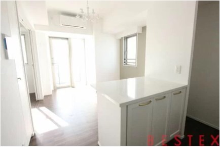 ブランシエスタ白山 1301