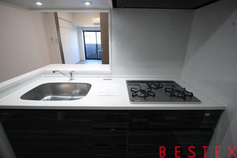 S-RESIDENCE駒込六義　201