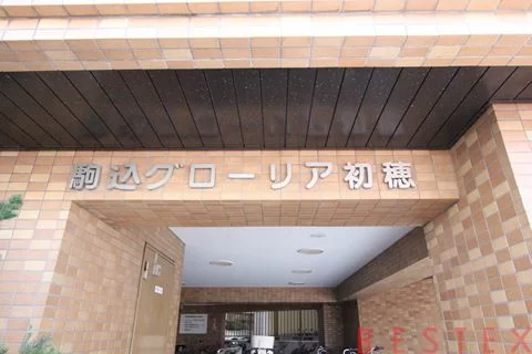 駒込グローリア初穂 5階