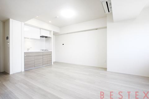 Brillia ist 文京茗荷谷（ブリリアイスト文京茗荷谷） 507
