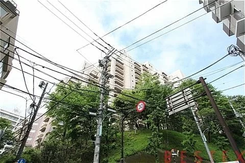 音羽ハウス 12階