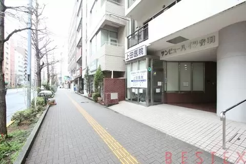 サンビューハイツ音羽 11階