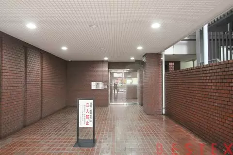 サンビューハイツ音羽 11階