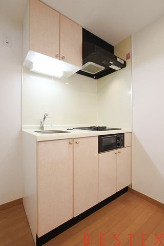 フォルトゥナ小石川 201