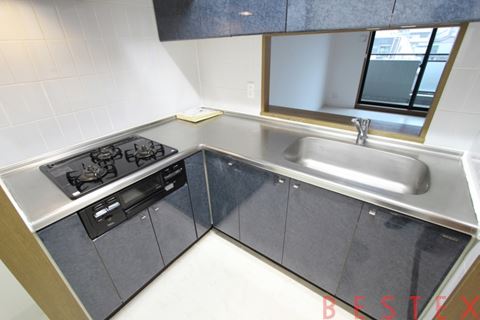 本駒込Kマンション 504