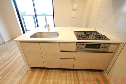 ジオエント駒込 703