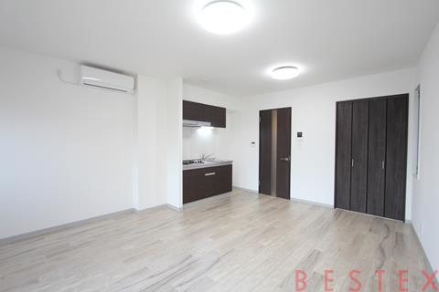 カーサブリランテ本駒込 301