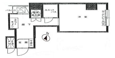 ペガサスマンション本郷 502