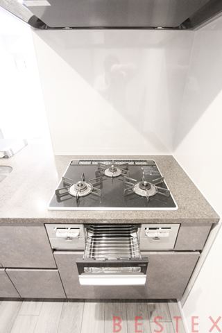 ザ・パークハビオ本郷菊坂　904