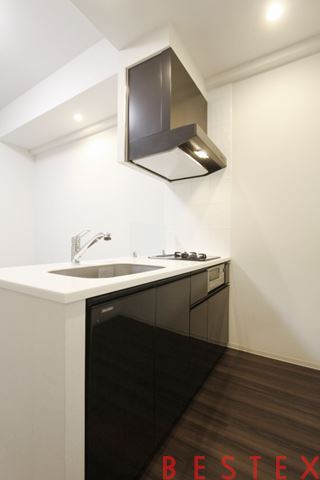 フェニックス飯田橋 102