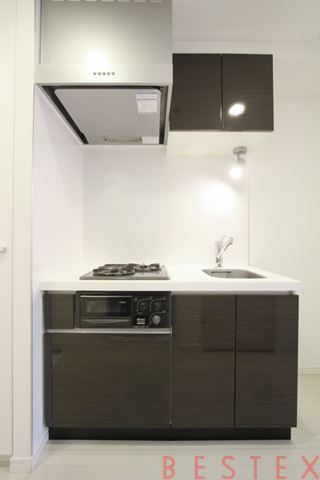 スカイコート本郷東大前弐番館 1001