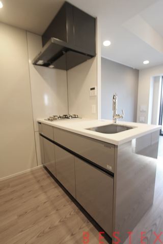 ルフォンプログレ本郷三丁目 704