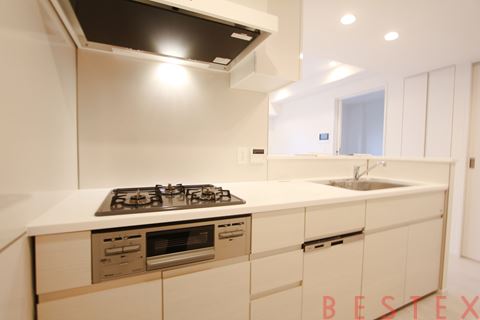 Brillia ist 文京六義園(ブリリア イスト 文京六義園) 304