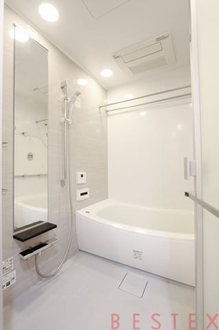 ザ・パークハウス上野池之端レジデンス 506