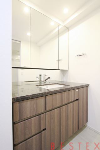 ザ・パークハウス上野池之端レジデンス 506