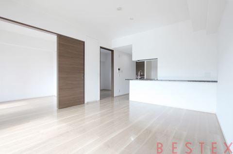 ザ・パークハウス上野池之端レジデンス 506