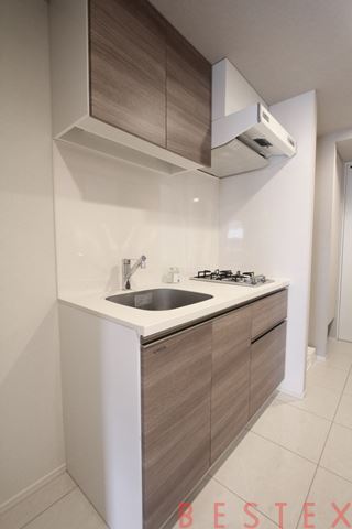 カーサスプレンディッド小石川 305