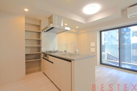 ザ・ライオンズフォーシア文京湯島 704