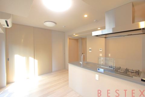 ザ・ライオンズフォーシア文京湯島 704