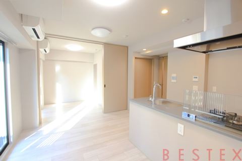 ザ・ライオンズフォーシア文京湯島 704