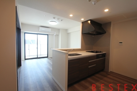 Alivis本郷三丁目（アリビス本郷三丁目）1102