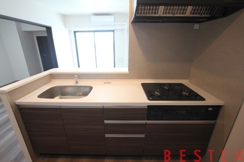 Alivis本郷三丁目（アリビス本郷三丁目）1102