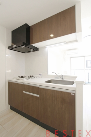 テラスミーレ文京弥生 308