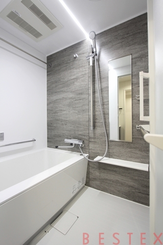 ミリアレジデンス御茶ノ水(旧アルモニー御茶ノ水) 1402