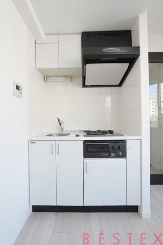 ビーロット小石川レジデンス 501