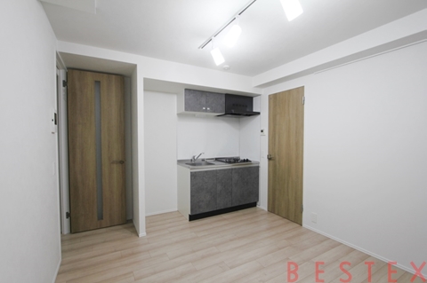 LOURE文京本駒込（ルオーレ文京本駒込）101