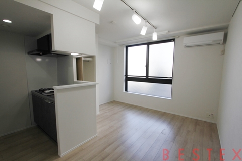 LOURE文京本駒込（ルオーレ文京本駒込）302