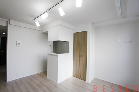 LOURE文京本駒込（ルオーレ文京本駒込）302