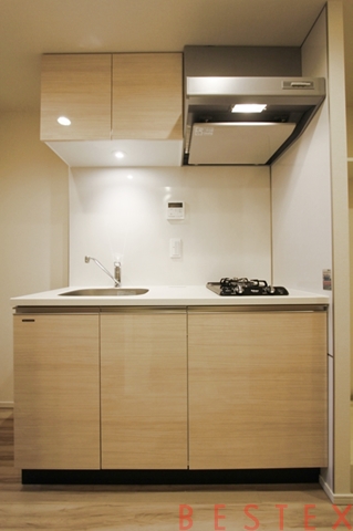 アーバンコア本郷(旧ジオエント本郷) 305