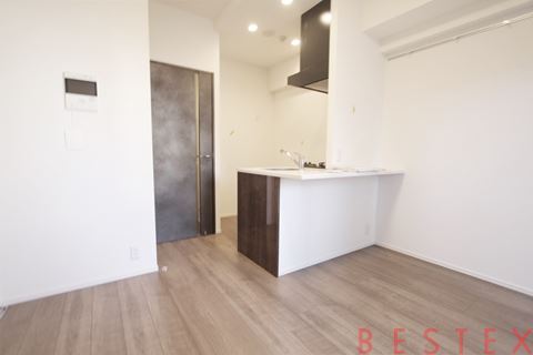 レジデンス文京春日 502