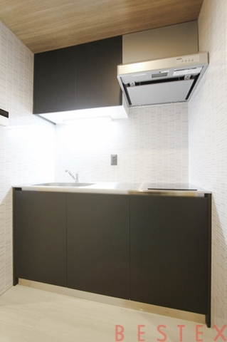 レジディア文京本郷 1005