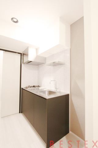 レジディア上野池之端 301