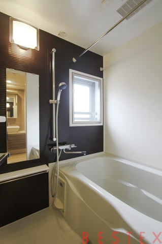 カーサスプレンディッド小石川 503