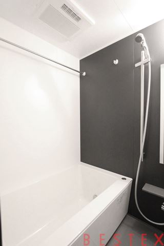 ＡＣＰレジデンス文京春日（エーシーピーレジデンス文京春日）　411