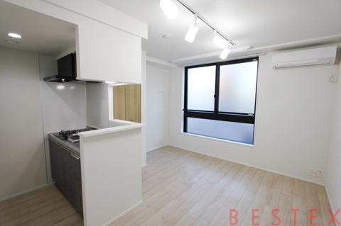 LOURE文京本駒込（ルオーレ文京本駒込）402