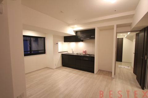 レジディア文京本郷Ⅳ　1101