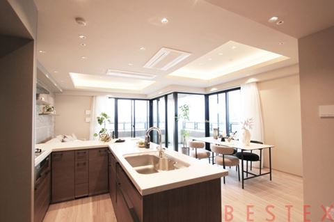 THE TOWER KOISHIKAWA 16階