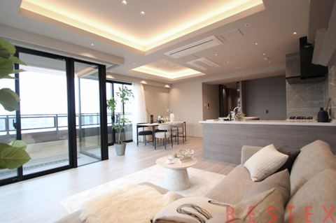 THE TOWER KOISHIKAWA 16階