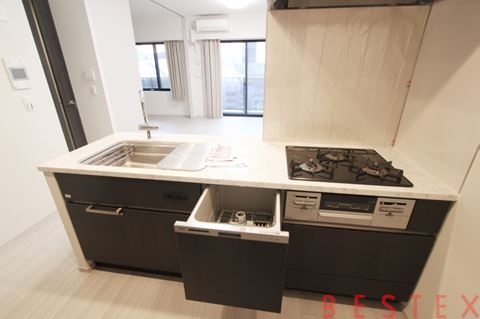 ブランズ文京本郷一丁目 11階