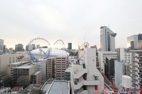 ブランズ文京本郷一丁目 11階