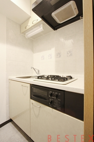 パレステュディオ御茶ノ水湯島駅前 304