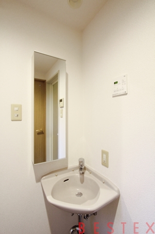 パレステュディオ御茶ノ水湯島駅前 304